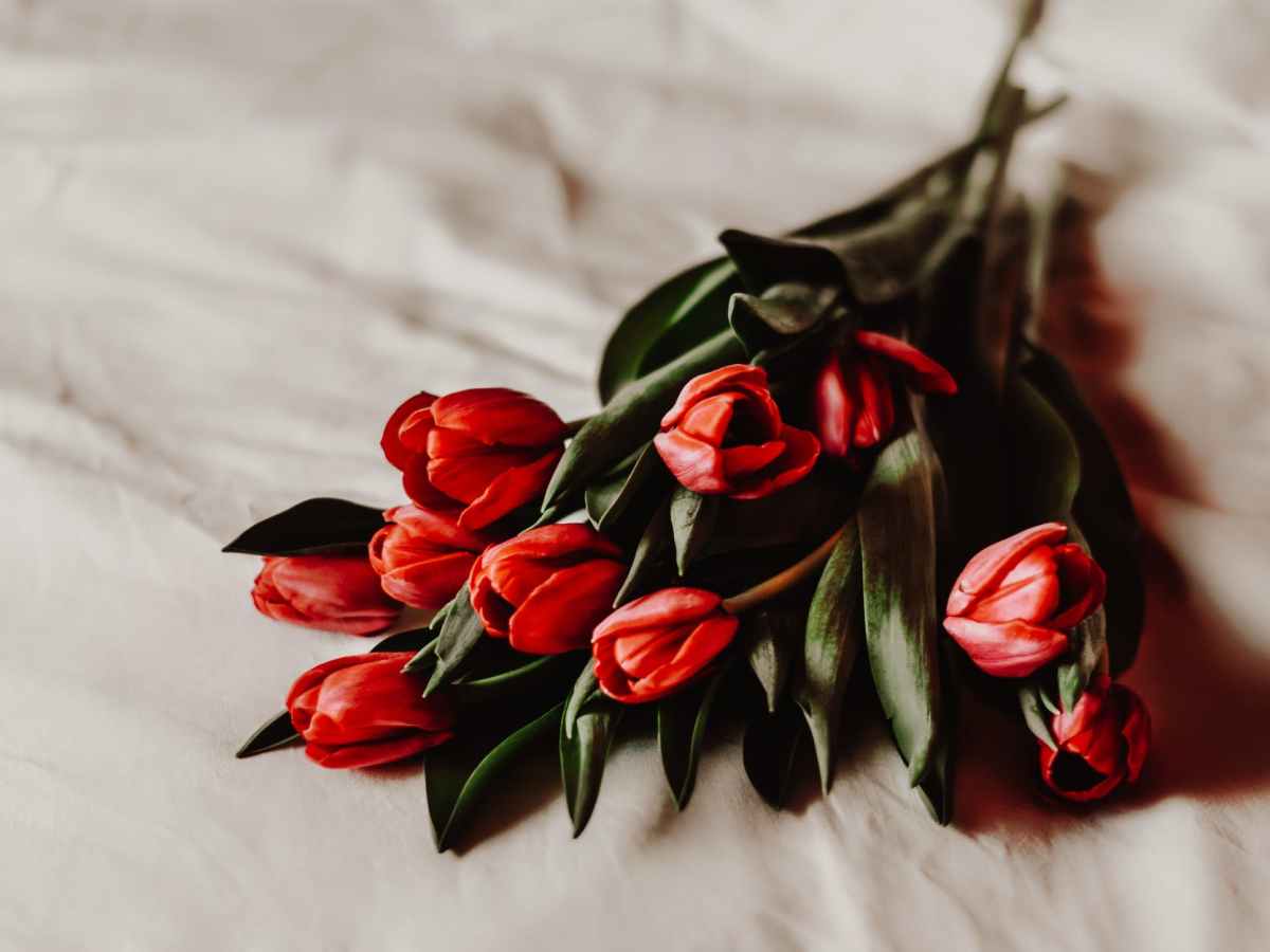 Providing Hospice Cares in a Facility during the COVID-19 Pandemic and&nbsp;Quarantine